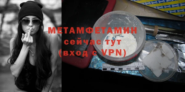 шишки Осинники