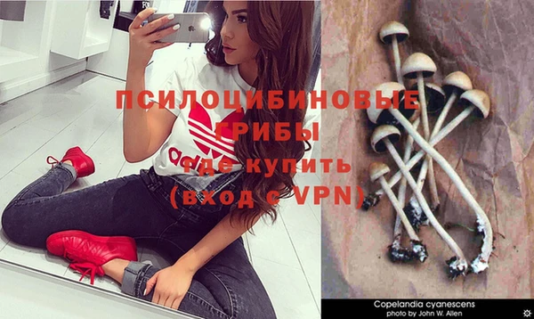 jwh Абинск
