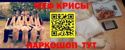 шишки Заволжье