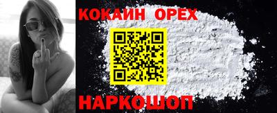 гидра Заводоуковск