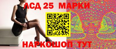 шишки Заволжье