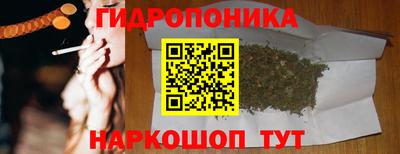 шишки Заволжье