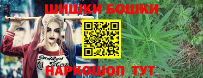 гидра Заводоуковск