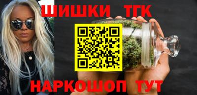 гидра Заводоуковск