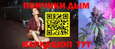 гидра Заводоуковск
