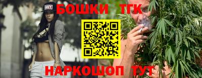 гидра Заводоуковск