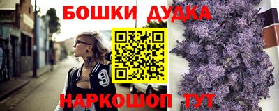 гидра Заводоуковск