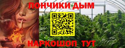 шишки Заволжье