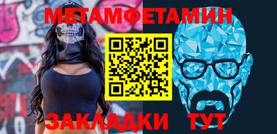 шишки Заволжье