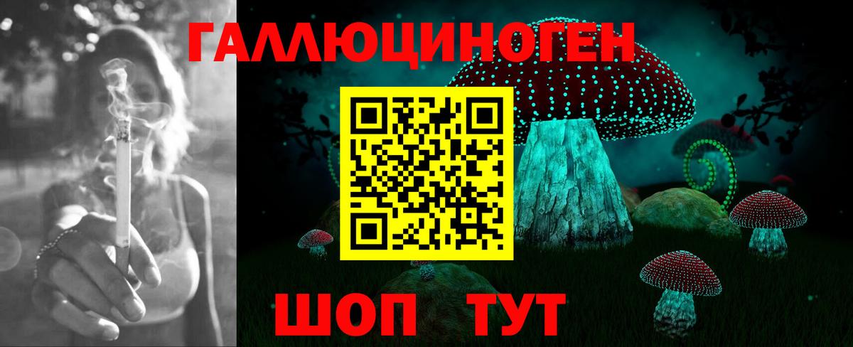 Псилоцибиновые грибы ЛСД Луга