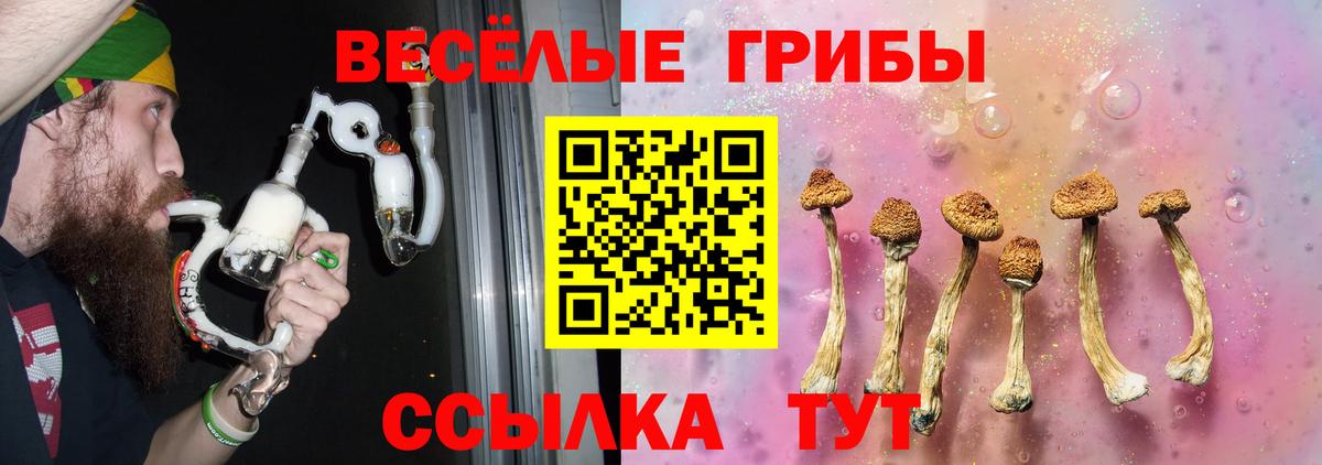 Луга  Псилоцибиновые грибы MAGIC MUSHROOMS  Вход с VPN  Галлюциногенные грибы Cubensis 
