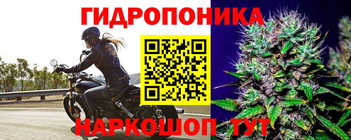 Шишки марихуана тримм  Вход с VPN  Бошки марихуана гибрид  Луга 